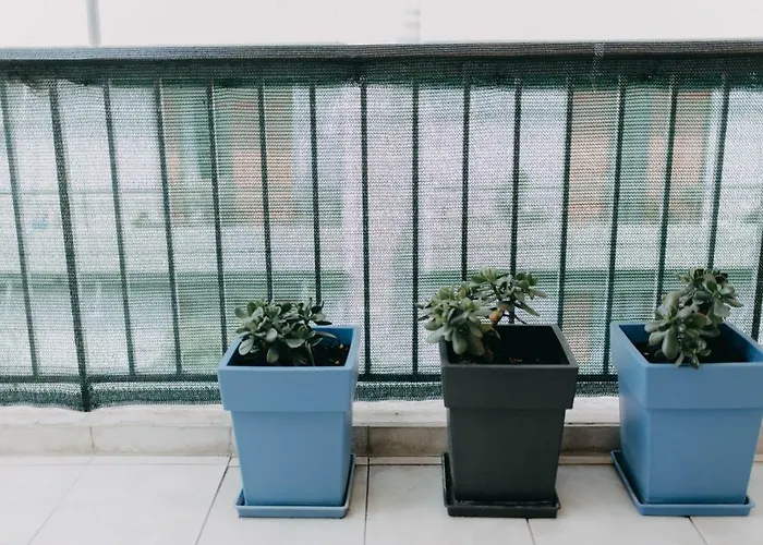 House, Deck Aprtm., Old Port Of * 帕特雷